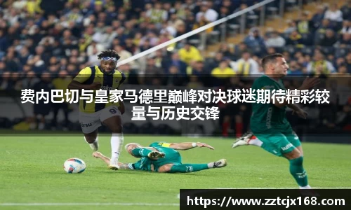 zoty中欧