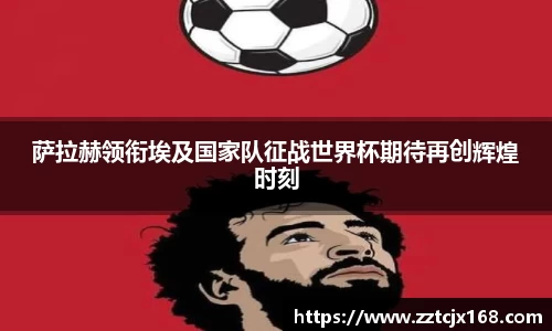 zoty体育