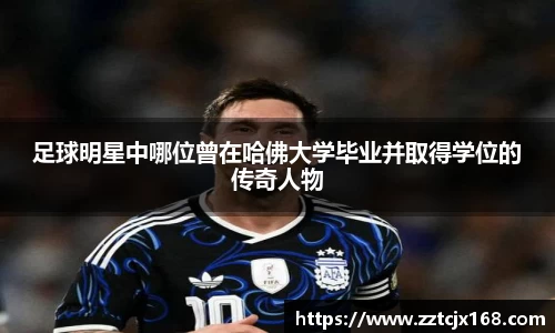 中欧体育官方网站