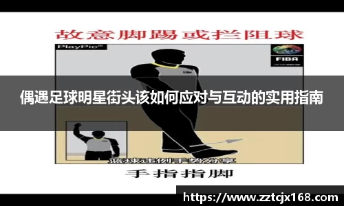 中欧体育官方网站