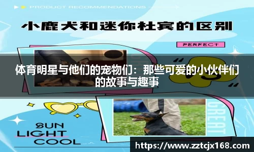 体育明星与他们的宠物们：那些可爱的小伙伴们的故事与趣事